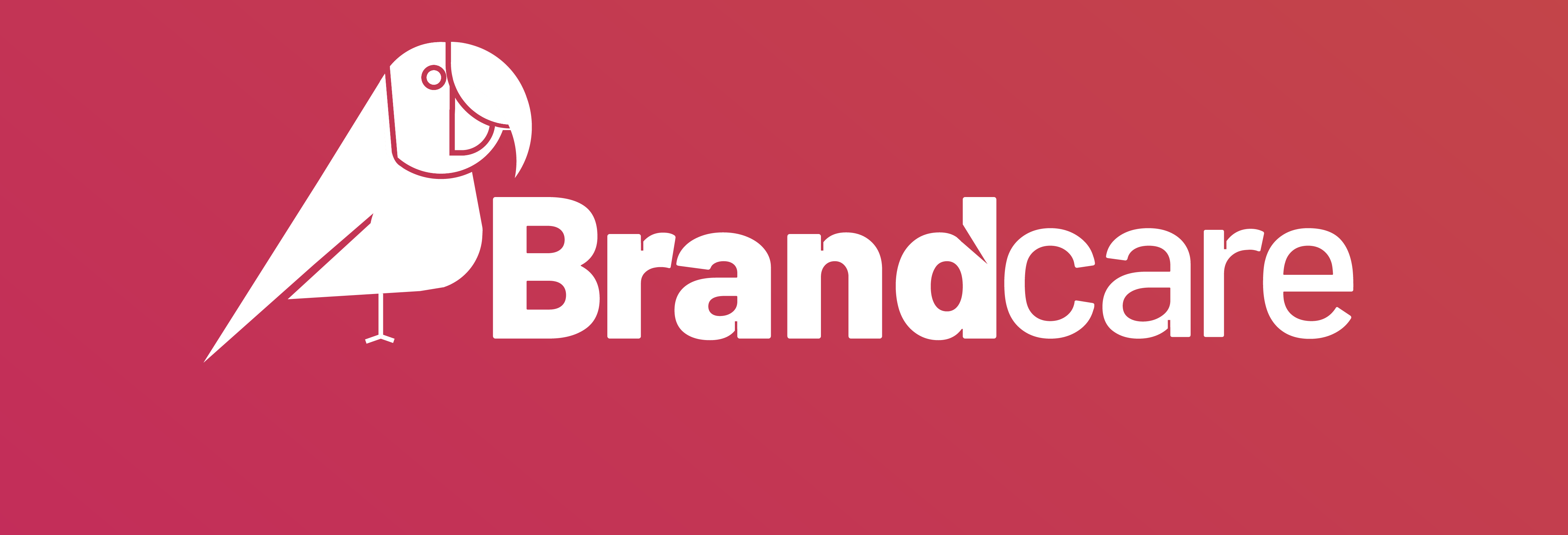 Logotipo_Brandcare-01 - Copy
